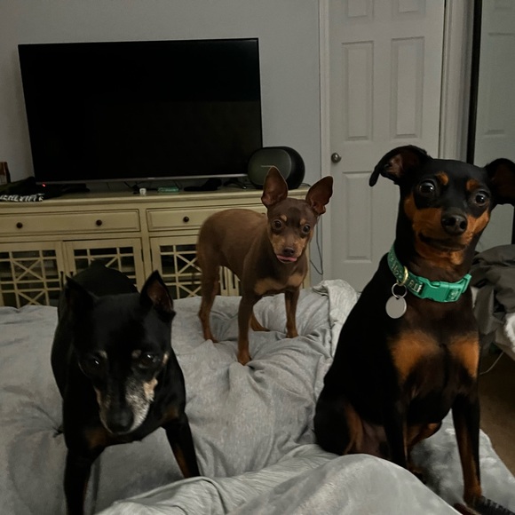 Meet your Posher, Regina - Picture 8 of 10